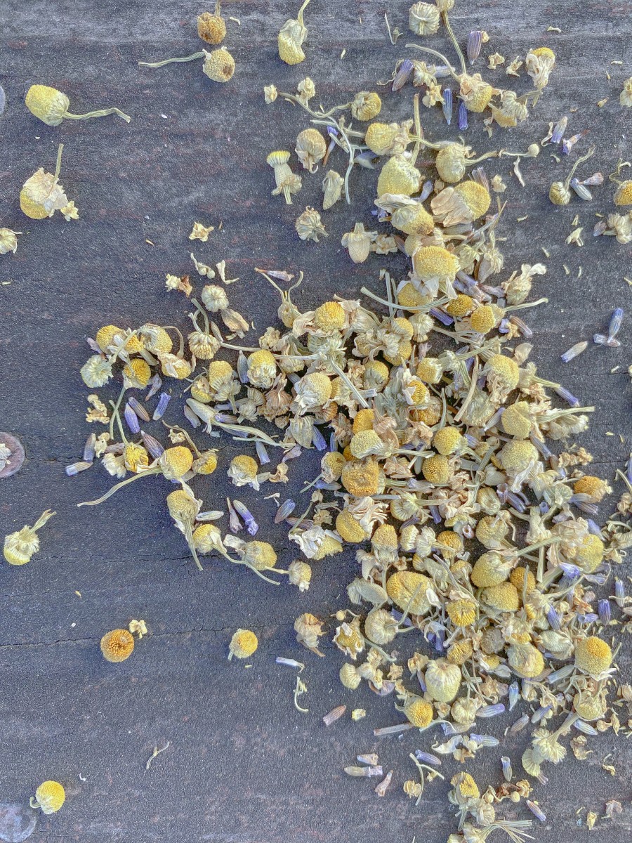 SUNDAY SIPPINGS: PETAL BLEND