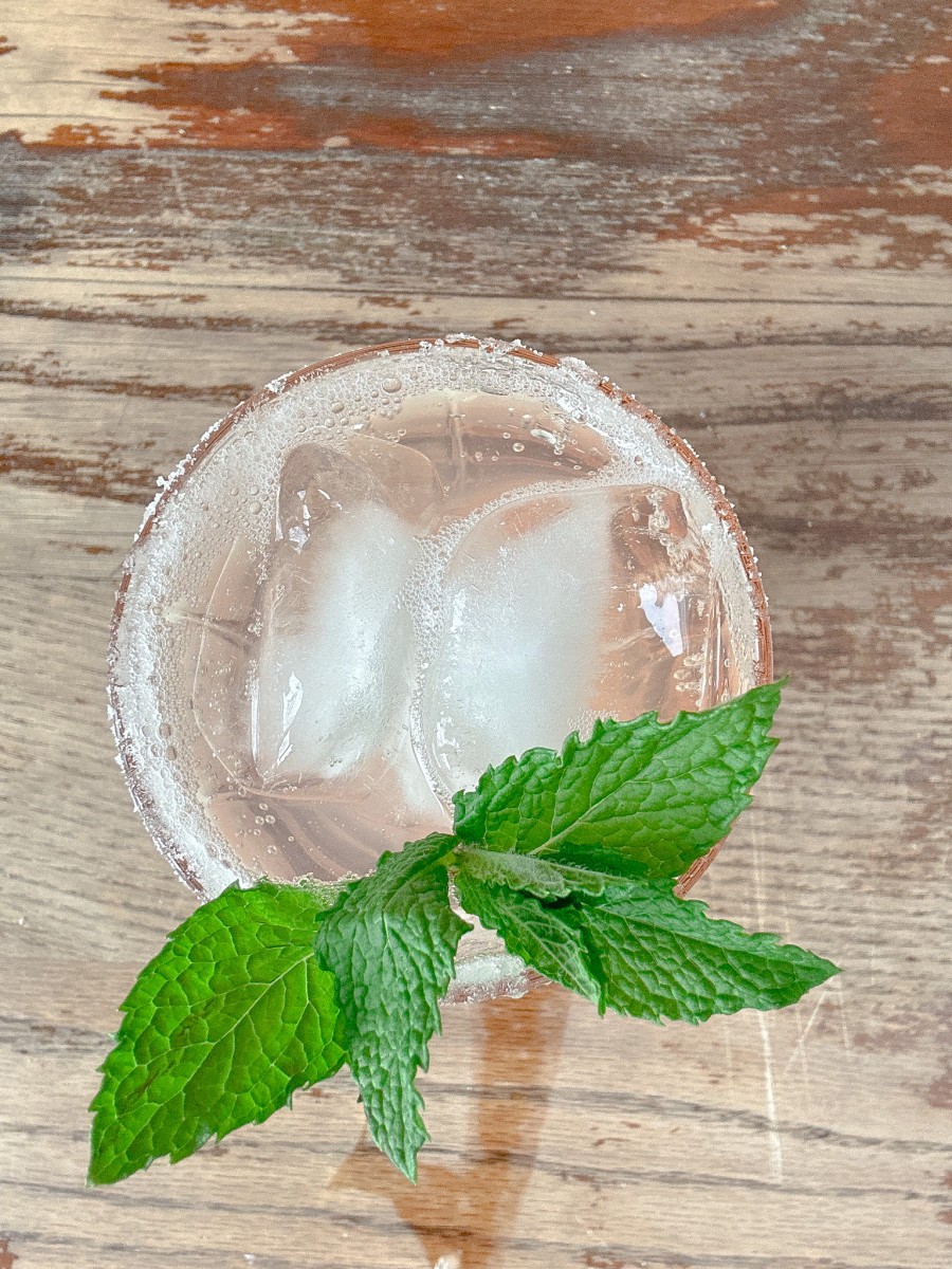 LEMON APPLE MINT SPRITZER