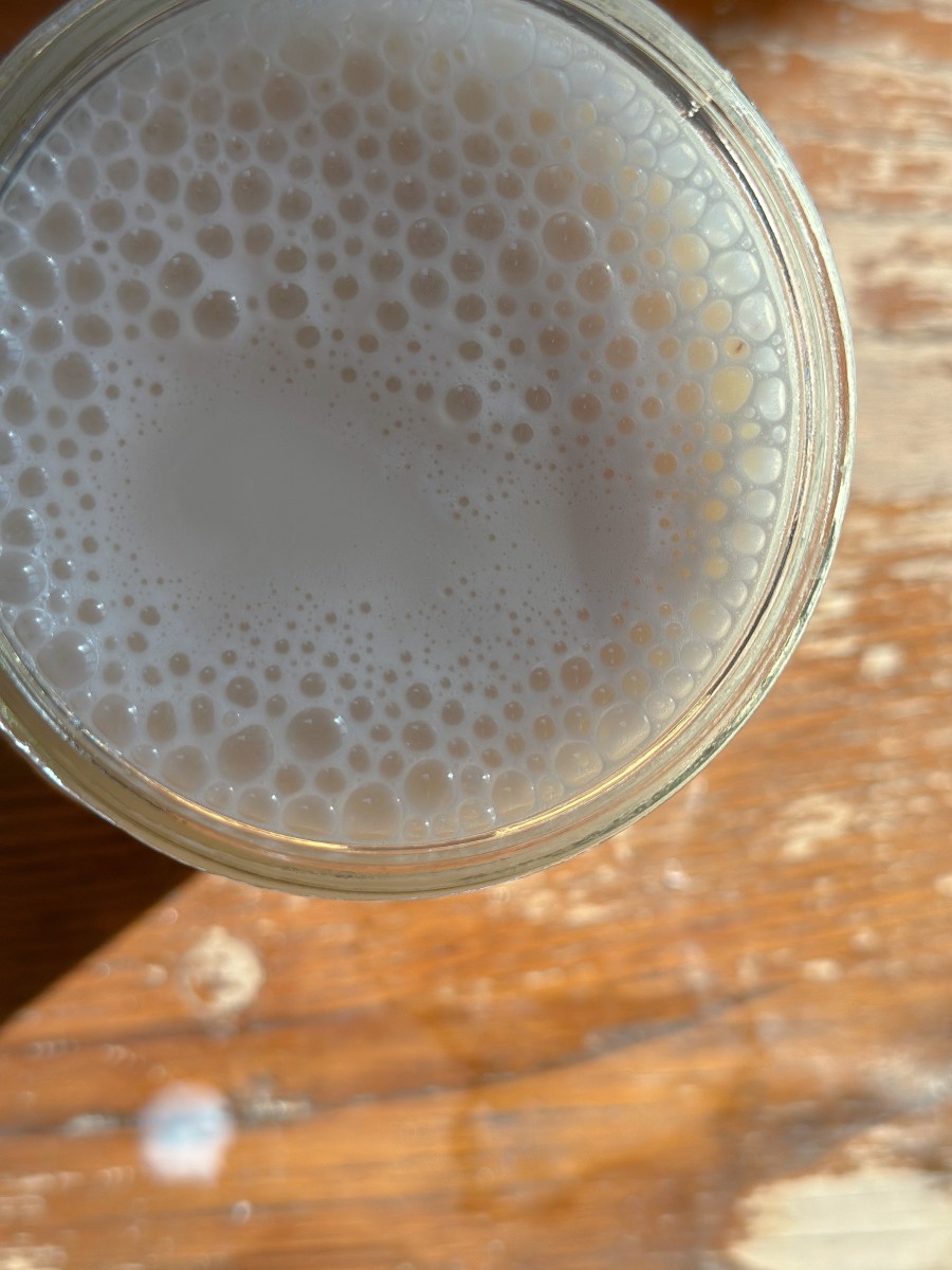 MAKE YOUR OWN ALMOND MILK