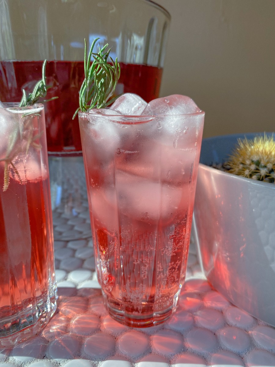HIBISCUS GINGER PUNCH