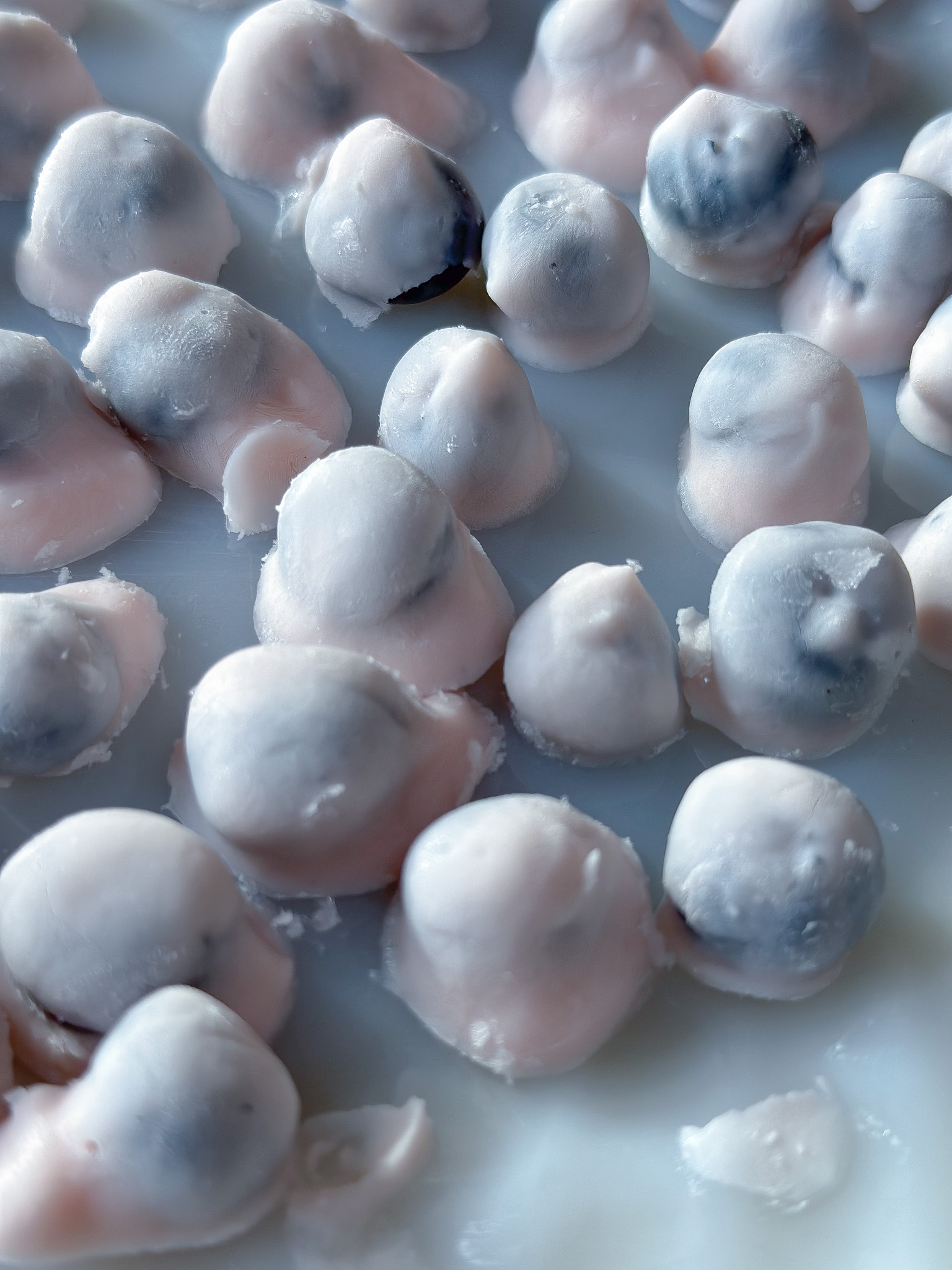 FROZEN YOGURT BLUEBERRIES