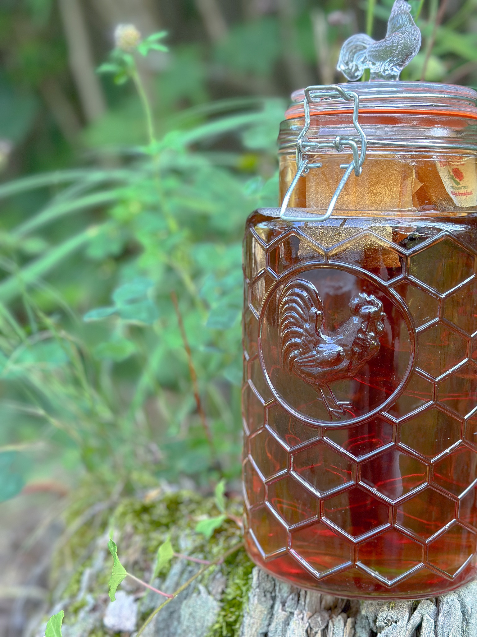 HOW TO MAKE SUN TEA