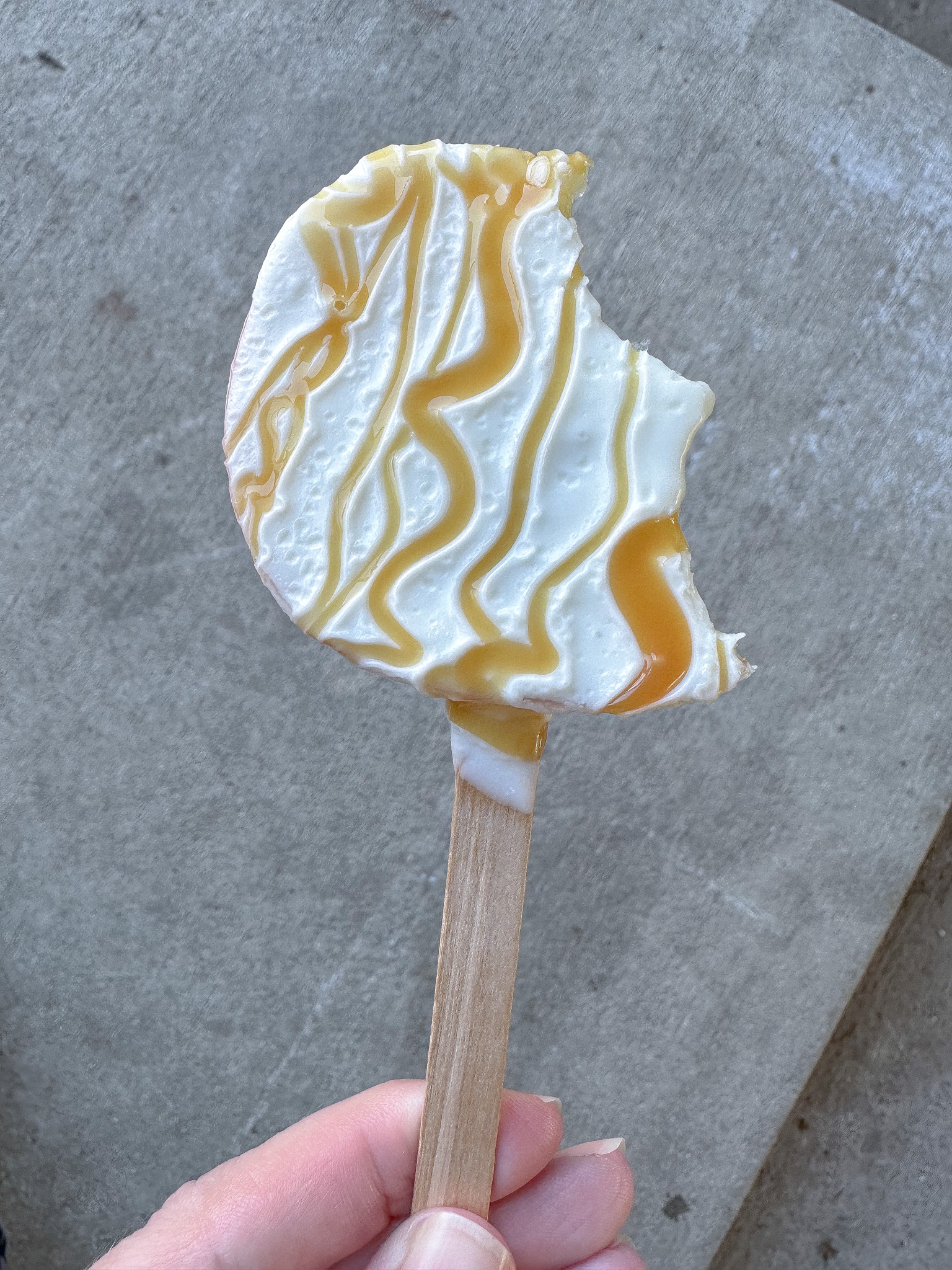 CHOCOLATE COVERED APPLE POPS