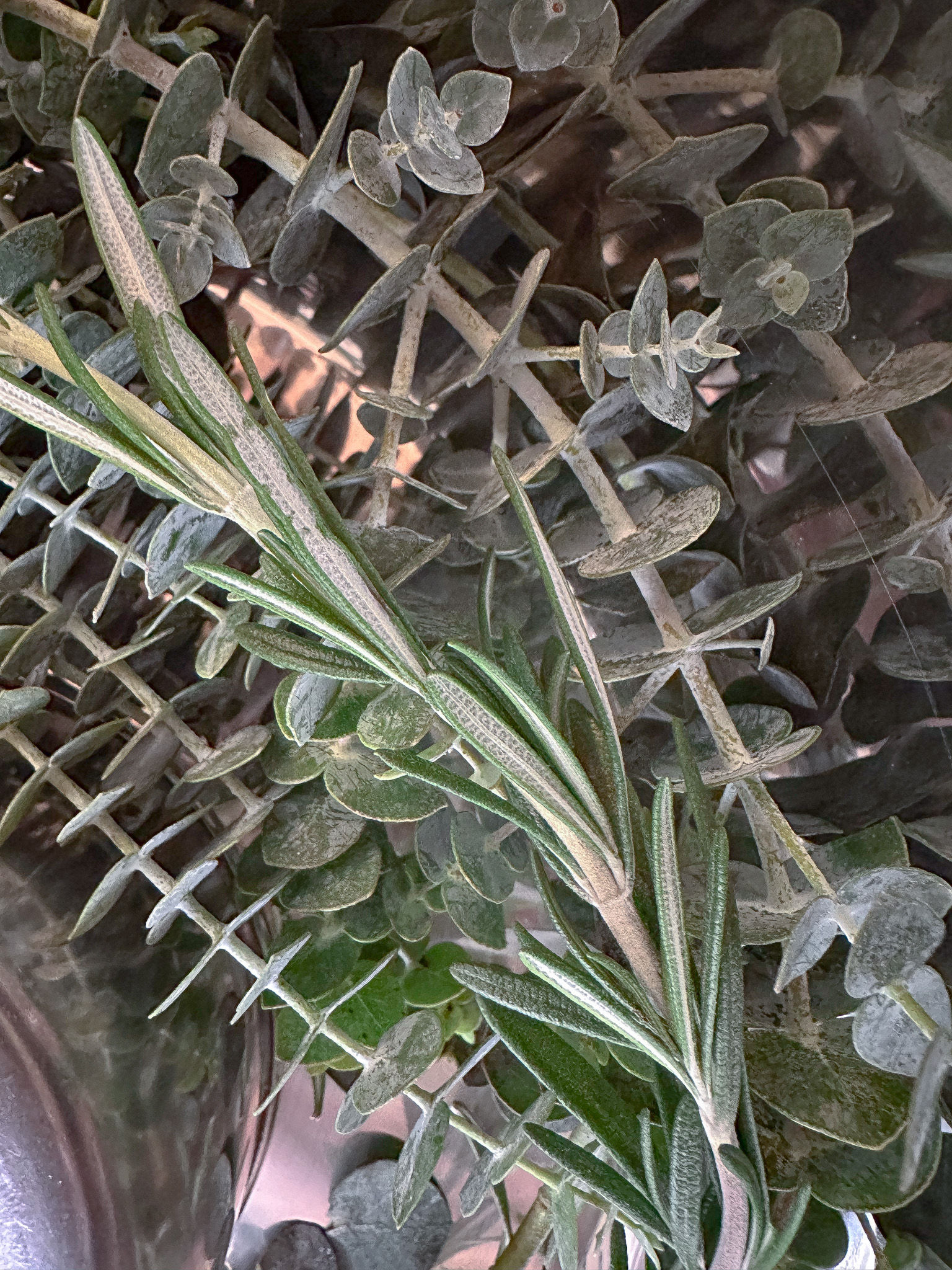 FOUR THIEVES ROOM SPRAY