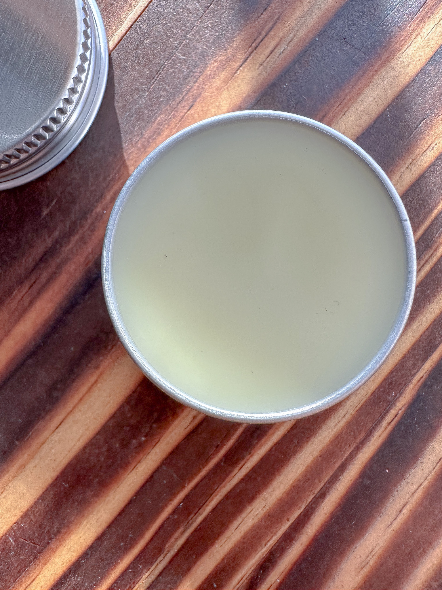 WINTERTIME LIP SALVE