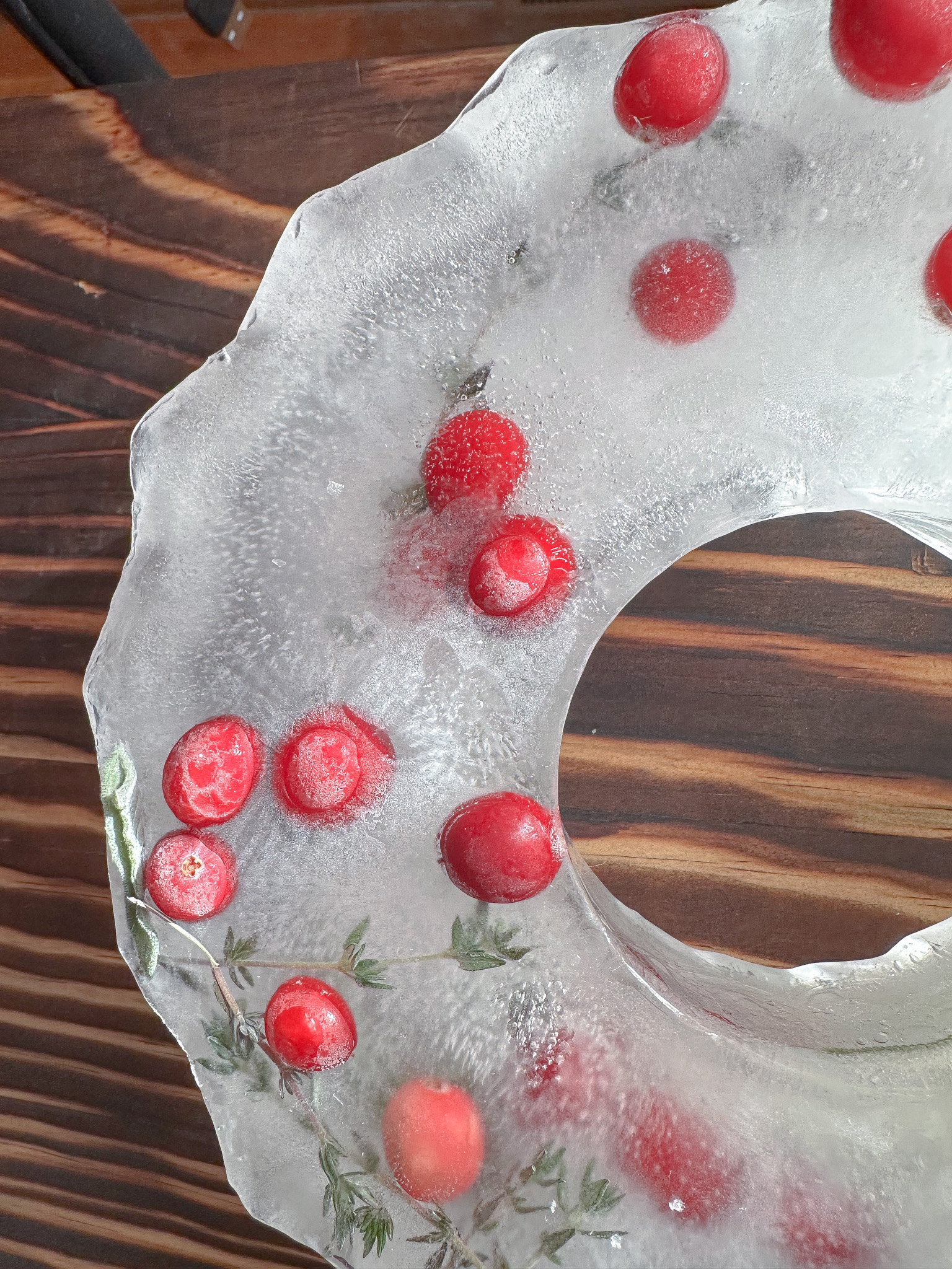 I MADE AN ICE WREATH FOR MY MENTAL HEALTH