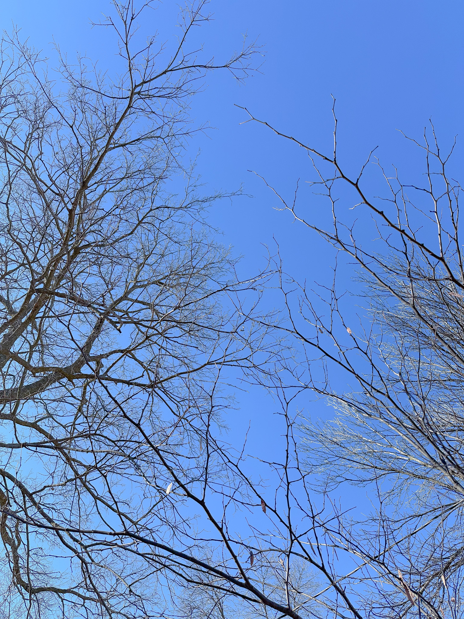 HOW TO SPARK JOY IN FEBRUARY